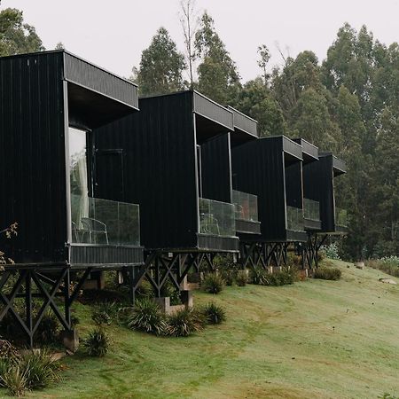 Concepción Pura Lodge מראה חיצוני תמונה